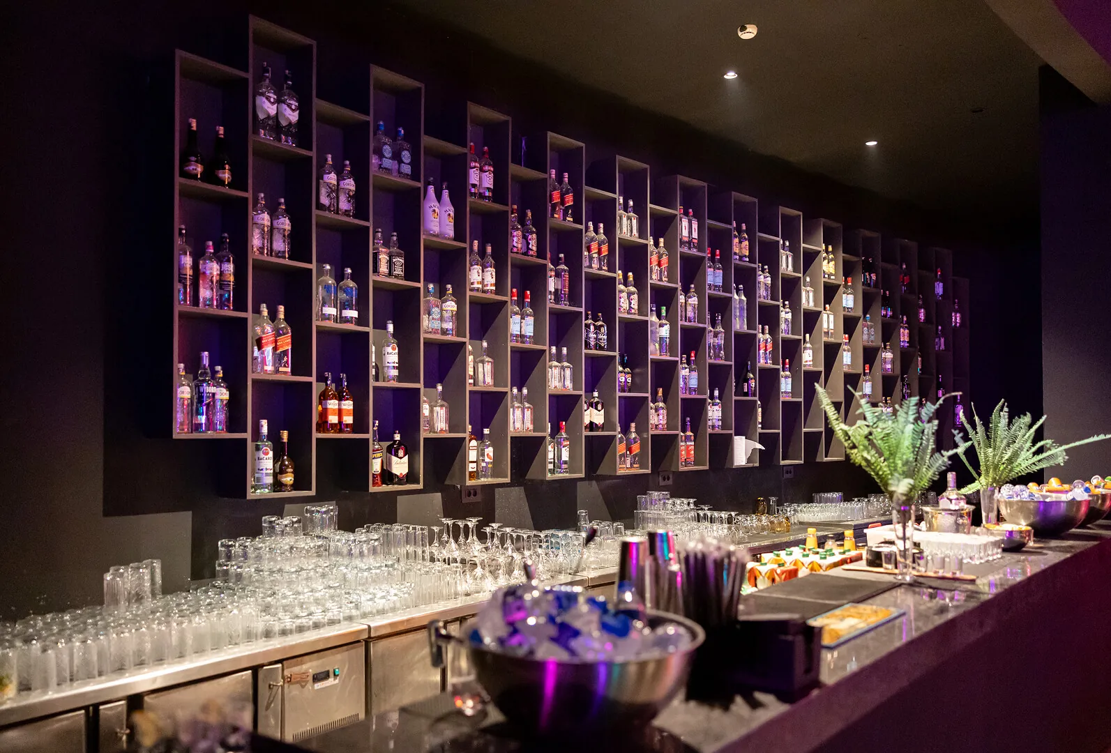 Arena Bar