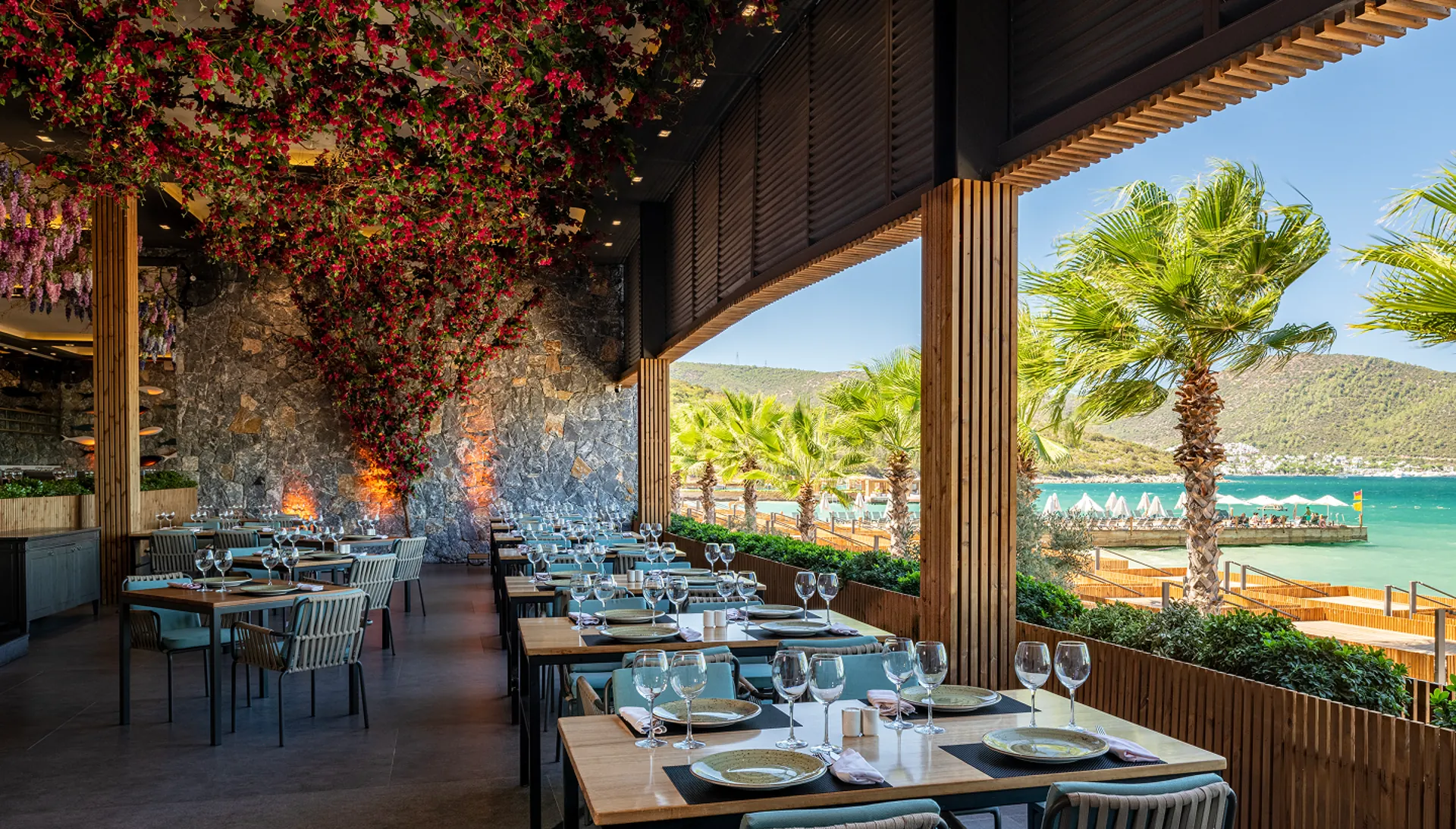 Azure Salt Sea Food