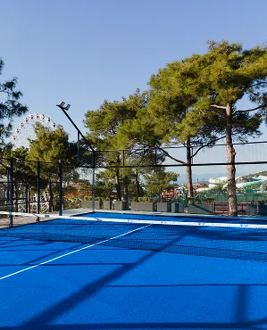 Tenis